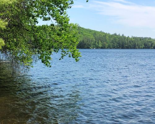79 Hobbs Pond Ln, Norway, ME 04268 exterior