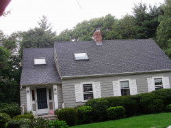 19 White Pine Rd, Newton, MA 02464 exterior