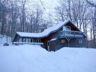 306 Alpine Dr, Killington, VT 05751 exterior