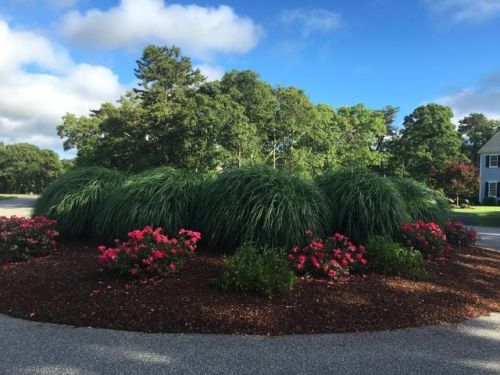 9 Oyster Pond Rd, Harwich, MA 02645 exterior