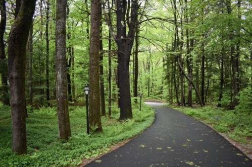 555 Dolly Rd, Hopkinton, NH 03229 exterior