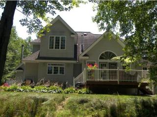 47 Franklin Pierce Dr, Webster, NH 03303 exterior