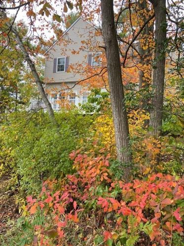 12 Cedar Dr, Webster, MA 01570 exterior