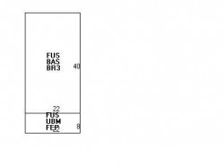 426 Homer St, Newton, MA 02459 floor plan