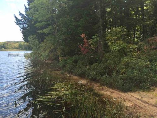 106 Eidelweiss Dr, Madison, NH 03849 exterior