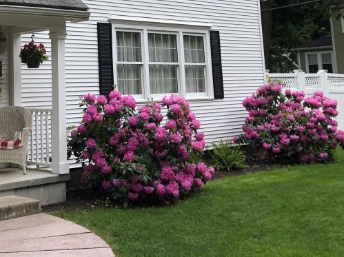 6 Elliott St, Nashua, NH 03064 exterior