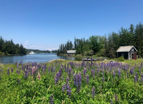 1502 Haven Rd, Vinalhaven, ME 04863 exterior