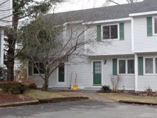 213 Shirley Cir, Williston, VT 05495 exterior