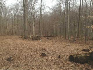 252 Mack Rd, Exeter, CT 06249 exterior