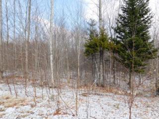 7 Marions Way, Gorham, NH 03581 exterior