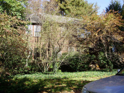61 Halcyon Rd, Newton, MA 02459 exterior