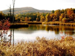 292 Monkton Rd, Charlotte, VT 05445 exterior