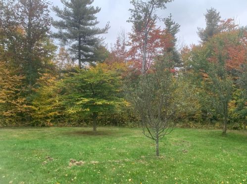 23 Flagg Rd, Marlow, NH 03456 exterior