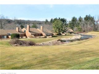 9 Catalpa Ct, Avon, CT 06001 exterior