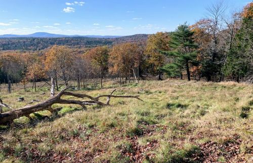 71 Williams Pond Rd, Bucksport, ME 04416 exterior