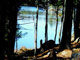 1 Heron Way, Norway, ME 04268 exterior