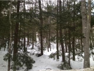 2 Stage Rd, Sanbornton, NH 03269 exterior