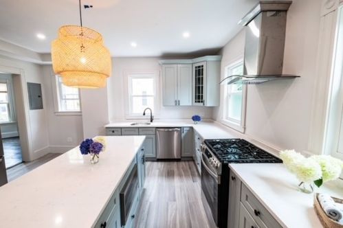 48 Wenham St, Roxbury Xing, MA 02130 exterior