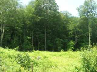 5 Azalea Ln, Ellington, CT 06029 exterior