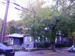 400 Langley Rd, Newton, MA 02459 exterior