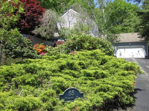 55 Sycamore Dr, Holden, MA 01520 exterior
