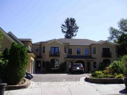 11 Placid Rd, Newton, MA 02459 exterior