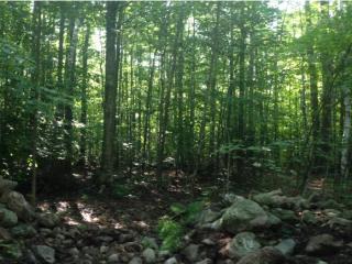 121 Fletcher Rd, Croydon, NH 03773 exterior