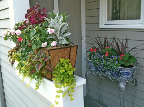 35 Aster Ct, Nashua, NH 03062 exterior