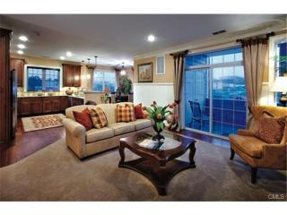 1036 Brookside Ct, Newtown, CT 06470 exterior