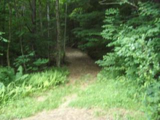 2108 Route 121, Grafton, VT 05146 exterior