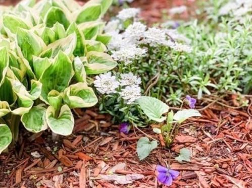 6 Pleasant Cir, Methuen, MA 01844 exterior