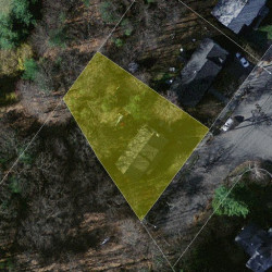 271 Wiswall Rd, Newton, MA 02459 aerial view