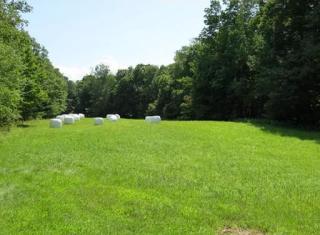 21 Legate Hill Rd, Charlemont, MA 01339 exterior