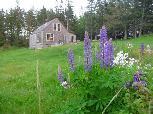 145 Dyers Island Rd, Vinalhaven, ME 04863 exterior