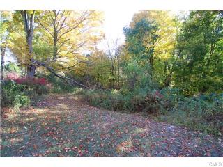 8 Bentagrass Ln, Newtown, CT 06470 exterior