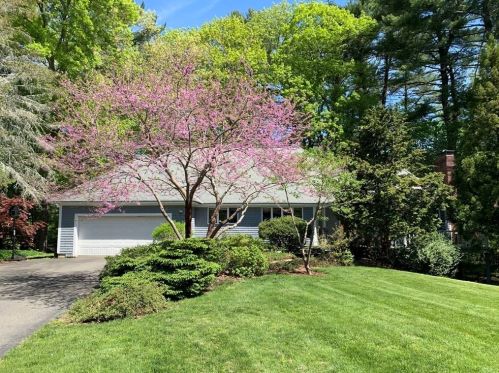 18 Grasshopper Ln, Acton, MA 01720 exterior