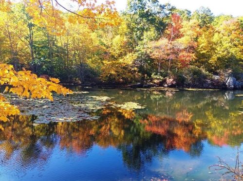 162 Todd Hollow Rd, Plymouth, CT 06782 exterior