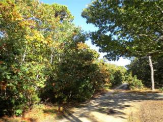 45 Fairview Ave, Eastham, MA 02642 exterior