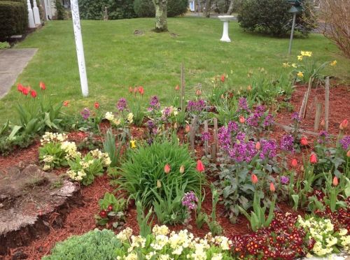 4 Broxburn St, Harwich, MA 02645 exterior