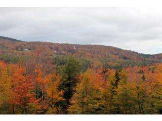 2 Abbott Rd, Windham, VT 05359 exterior