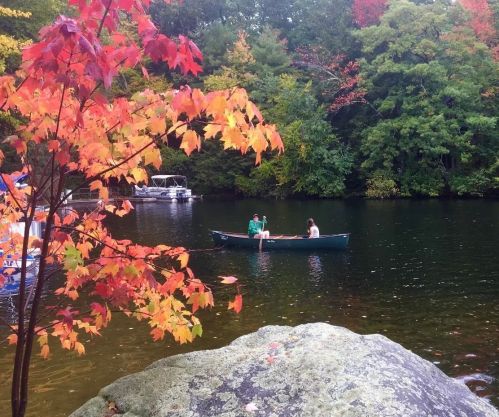 84 Lakeview Dr, Nottingham, NH 03290 exterior