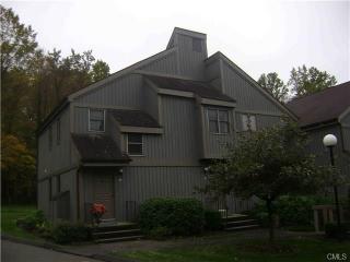 111 Heatherwood Dr, Brookfield Center, CT 06804 exterior