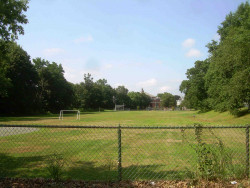 44 Jackson Rd, Newton, MA 02458 exterior