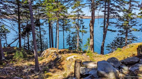 231 Otis Point Rd, Saint George, ME 04860 exterior