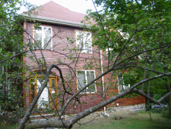 1733 Commonwealth Ave, Newton, MA 02465 exterior