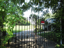29 Kinmonth Rd, Newton, MA 02468 exterior