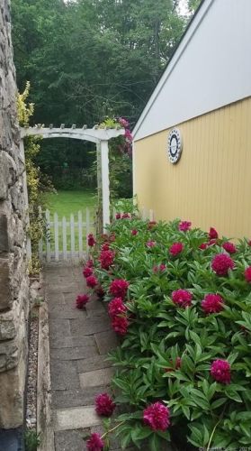 17 Taylor Rd, Bethel, CT 06801 exterior