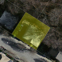 37 Playstead Rd, Newton, MA 02458 aerial view