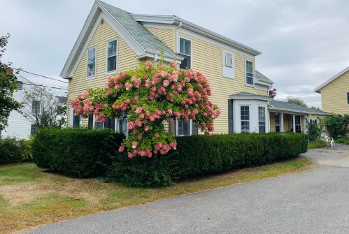 1847 Post Rd, Wells, ME 04090 exterior