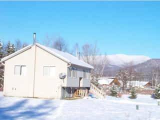 14 Abigails Cir, Jefferson, NH 03584 exterior